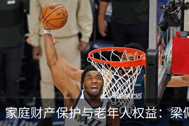 家庭财产保护与老年人权益：梁佩昭的案例分析